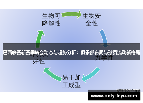 巴西联赛新赛季转会动态与趋势分析：俱乐部布局与球员流动新格局