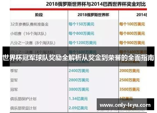 世界杯冠军球队奖励全解析从奖金到荣誉的全面指南