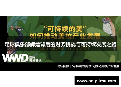 足球俱乐部辉煌背后的财务挑战与可持续发展之路