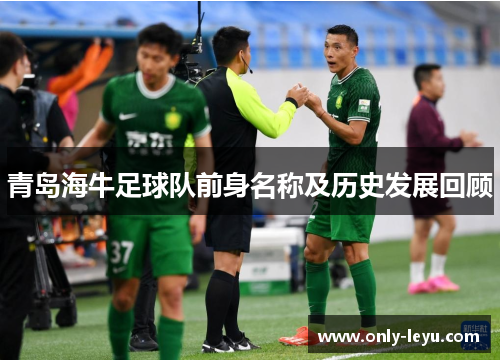 青岛海牛足球队前身名称及历史发展回顾