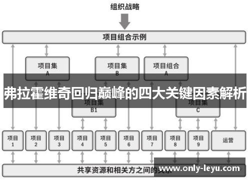 弗拉霍维奇回归巅峰的四大关键因素解析