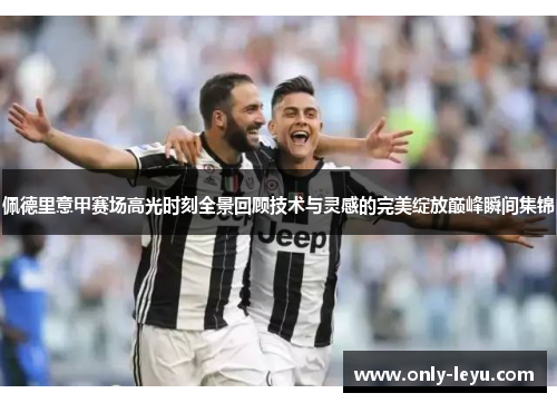 佩德里意甲赛场高光时刻全景回顾技术与灵感的完美绽放巅峰瞬间集锦