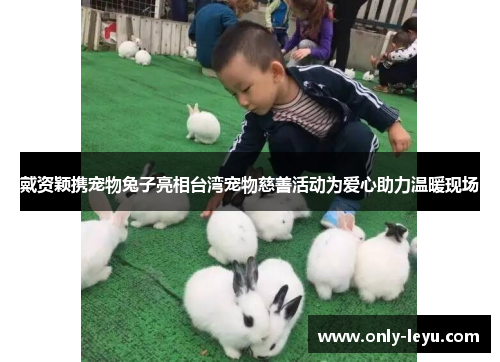 戴资颖携宠物兔子亮相台湾宠物慈善活动为爱心助力温暖现场 戴资颖携宠物兔子亮相台湾宠物慈善活动为爱心助力温暖现场