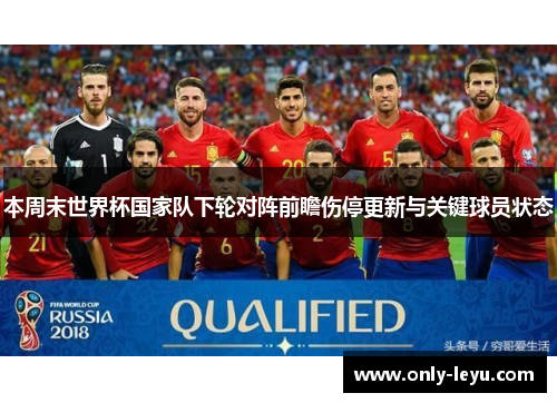 本周末世界杯国家队下轮对阵前瞻伤停更新与关键球员状态