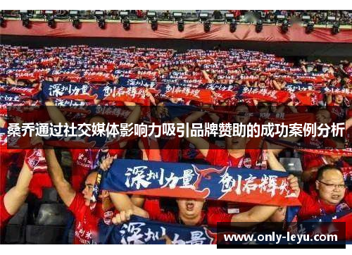 桑乔通过社交媒体影响力吸引品牌赞助的成功案例分析